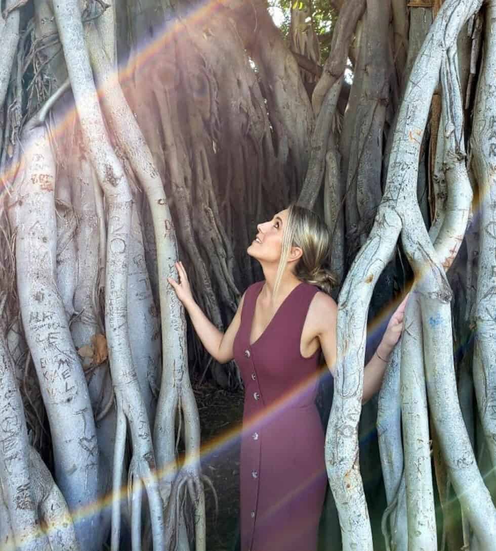 Awakening Courses with Amy Robeson